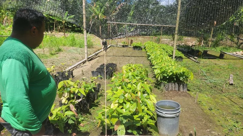 Tzunki project - social work with the Shuar communities 3